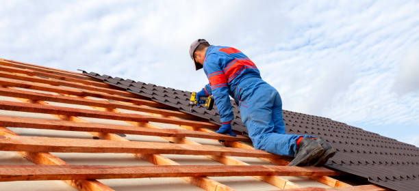 Best Solar Panel Roofing Installation  in Landrum, SC